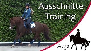 TRAINING Eindrücke aus unserem Dressurtraining  Mai 2015 [upl. by Eeresed773]