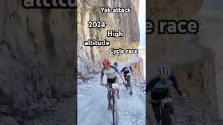 Yak attack high altitude Nepal 🇳🇵yakattack cyclerace travel shortsfeed youtubeshorts [upl. by Twum]