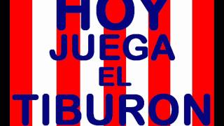 HOY JUEGA JUNIOR [upl. by Elbart]