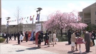 2014年度 立命館大学・大学院入学式びわこ・くさつキャンパス [upl. by Yaya]