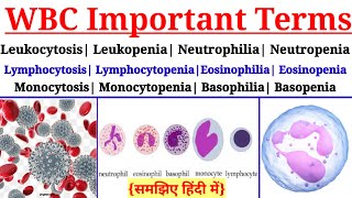 WBC important terms in Hindi Hematology important terms in Hindi Various terms used for WBC count [upl. by Llebasi]