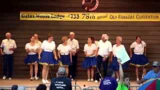 Clogging  Square Dancing  78th Old Time Fiddlers Convention  Galax [upl. by Holt]