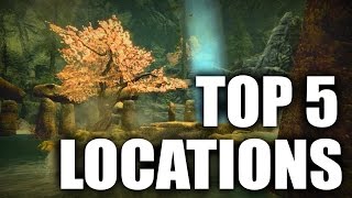 Skyrim  Top 5 Beautiful Locations [upl. by Elysha]