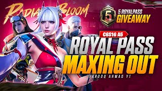 C6S16 A5 Royal Pass Maxing Out  5 RP Giveaway  🔥 PUBG MOBILE 🔥 [upl. by Yumuk318]