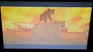 Opening to The Lion King 1995 VHS Version 1 [upl. by Fennell]