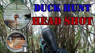 Duck Hunt  Headshots 062321 [upl. by Airdnaz759]