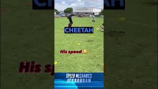 Tyreek Hill On How To Get CHEETAH SPEED tyreekhill howtorunfaster [upl. by Noiramed]