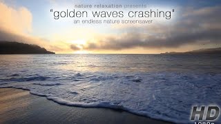 quotGolden Waves Crashing at Sunsetquot Endless Looping Nature Video1080p [upl. by Avon446]