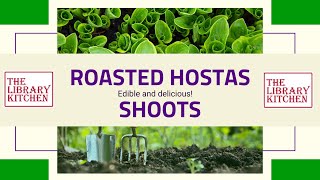 The Library Kitchen  Roasted Hostas Shoots [upl. by Lindahl363]