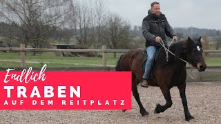 Endlich Trab auf dem Reitplatz  Jungpferdeausbildung [upl. by Annayram]