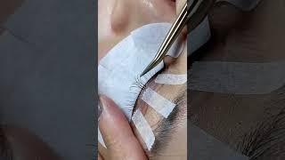 Beutifulll Eyelids 👁️eyebrow eyes eyemakeup beautytips viralshorts [upl. by Nomyad]