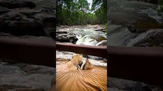 Athabasca Falls 🇨🇦 My photos uncropped using ai canada nature waterfall aiexpand [upl. by Staten]