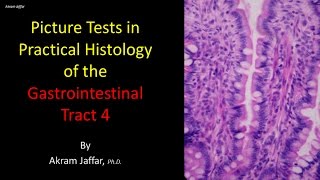 Picture tests in histology of the gastrointestinal system 4 [upl. by Eladal]