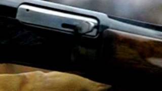 Browning B2000 Automatic Shotgun  210 fps Slow Motion [upl. by Elrem]