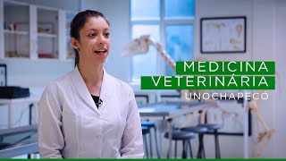 Como é o curso de medicina veterinária  UNINASSAU [upl. by Assenov3]