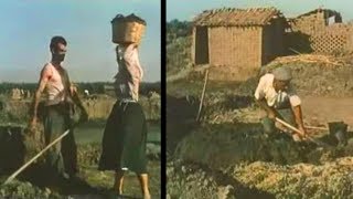 Produzione di tegole e mattoni nel Campidano di Oristano 1951 [upl. by Zelten612]