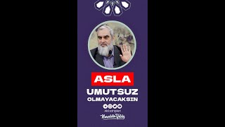 Umutsuz Olmayacaksınız  Nureddin Yıldız islam shorts nureddinyıldız sosyaldoku [upl. by Byers552]