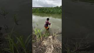 catching Fish fishing shorts youtubeshorts amazing trending [upl. by Adel]