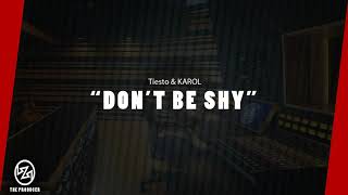 Tiesto amp KAROL G  Don’t Be Shy Instrumental [upl. by Mccurdy]