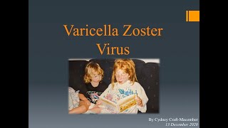 Varicella Zoster Virus VZV  Structure pathogenesis epidemiology prevention and treatment [upl. by Sakul]