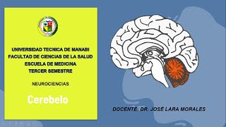 CEREBELO anatomía vías aferenteseferentes fisiología y correlatos clínicos [upl. by Neom394]