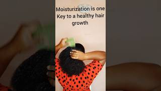 Heres what moisturization does to your natural hair haircare hairgrowthgoals hairgrowthjourney [upl. by Delano]