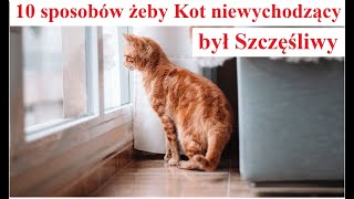 10 sposobów żeby Kot niewychodzący był Szczęśliwy [upl. by Vescuso]