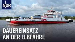 Elbfähre Stress zwischen Schlick und Stau  Die Nordreportage  NDR Doku [upl. by Sirahs]