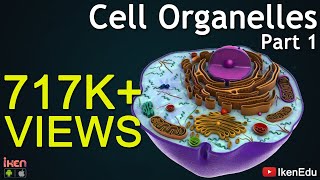 Cell Organelles  Part 1  Animation Video  Iken Edu [upl. by Batruk]