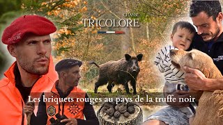 Saison chasse 2024  Chasse au sanglier dans le lot au pays de la truffe [upl. by Meek71]