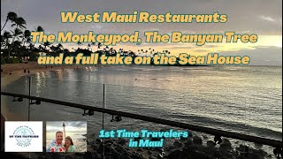 Come with us to West Maui and The Monkeypod The Banyan Tree and The Sea House Restaurants [upl. by Krasner]