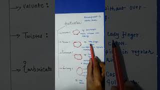 Morphology of flowering plants class 11Morphology short notesFlower MorphologyBioNCERT notesNEET [upl. by Chatterjee]