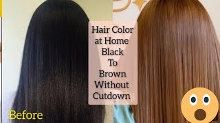 How to apply hair color at homeBlack to brown hairs at home without bleach [upl. by Harbard]