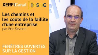 Les chemins et les coûts de la faillite dune entreprise Eric Severin [upl. by Ylrebmit]