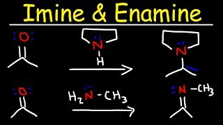 Top Iron Rich Foods  Reduces Anemia  Hemoglobin  Increases Blood Levels  Manthenas Health Tips [upl. by Llerrehs]