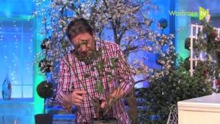 How to prune roses  Waitrose Garden [upl. by Tony368]