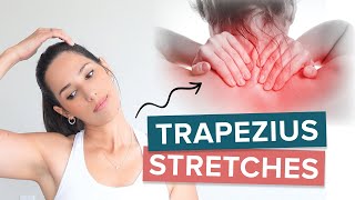 9 Effective Trapezius Stretches to Release Trapezius Pain and Tightness [upl. by Skill]