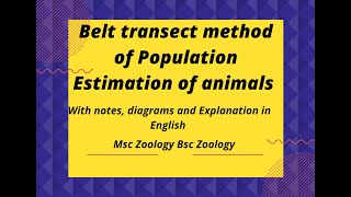 Belt transect method of Population estimation of animals with notes [upl. by Rettig]