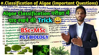 Classification of Algae  Trick to Remember Classification of Algae  BSc  MSc  PGT Biology [upl. by Nnorahs]