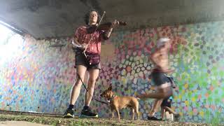 Crapshooters Rag  Miss Moonshine played under Beltline bridge with chihuahua at guard [upl. by Frodine]