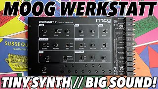 MOOG WERKSTATT01 amp CV EXPANDER  Big analogue synth tone in a tiny affordable package [upl. by Leitao]