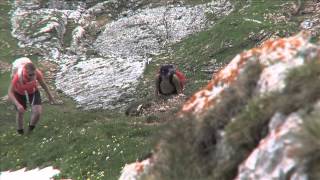 Adlerweg Tirol – Wandern in Tirol in Österreich ⛰ [upl. by Seftton]