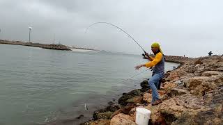 The best fishing spot for catching talakitoktrevally  Ultralight game  SanaAll Angler 🎣  Oman [upl. by Ahsed]