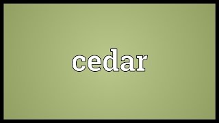 Cedar Meaning [upl. by Costanzia]