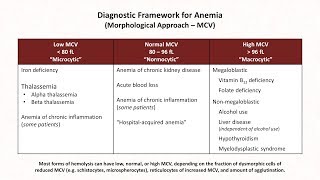 Rapid Revision of PATHOLOGY  Hematology Slides with Commentary  Dr Sanjay Deshmukh [upl. by Uyr]