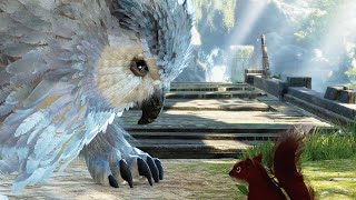 Owlbear vs Squirrel in Balders Gate 3 [upl. by Rumpf531]