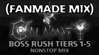 Terraria Calamity Mod  Boss Rush Tiers 15 Nonstop TheTrester Mix [upl. by Sipple]