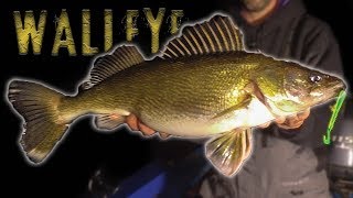 GIANT Walleye  Winter Walleye Fishing Tips and Techniques [upl. by Dehnel892]