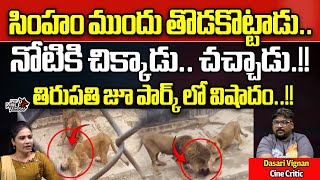 Lion Attack At Tirupati Zoo Park  Lion Attack Incident In AP  AP Latest News  Wild Wolf Telugu [upl. by Whitaker]