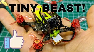 MicroHeli Mobula6 Frame Review [upl. by Adnhoj]